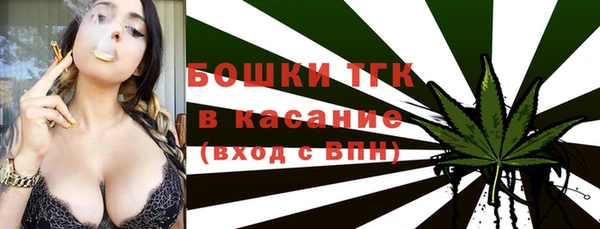 стафф Аркадак