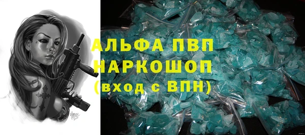 стафф Аркадак