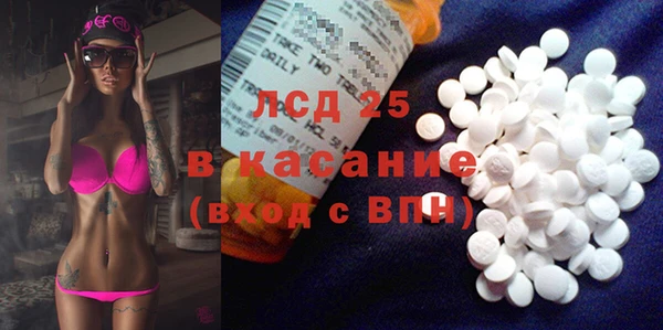 стафф Аркадак