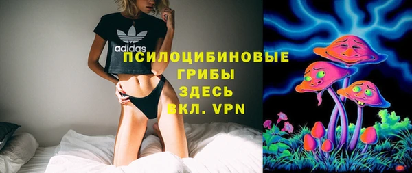 стафф Аркадак
